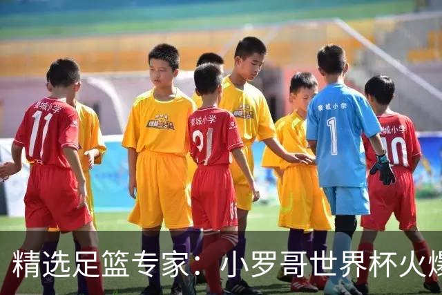 精选足篮专家：小罗哥世界杯火爆9连红长线15中13！