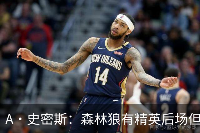A·史密斯：森林狼有精英后场但体型变小 难应对雷霆马刺火箭掘金